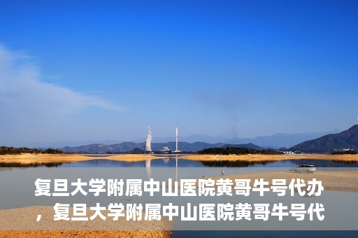 复旦大学附属中山医院黄哥牛号代办，复旦大学附属中山医院黄哥牛号代办，权威医疗资源的深度解读与便捷服务体验