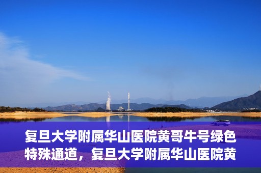 复旦大学附属华山医院黄哥牛号绿色特殊通道，复旦大学附属华山医院黄哥牛号，绿色特殊通道开启健康之门