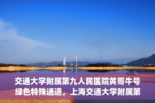 交通大学附属第九人民医院黄哥牛号绿色特殊通道，上海交通大学附属第九人民医院黄哥牛号，绿色特殊通道开启健康之门