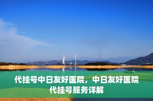 代挂号中日友好医院，中日友好医院代挂号服务详解