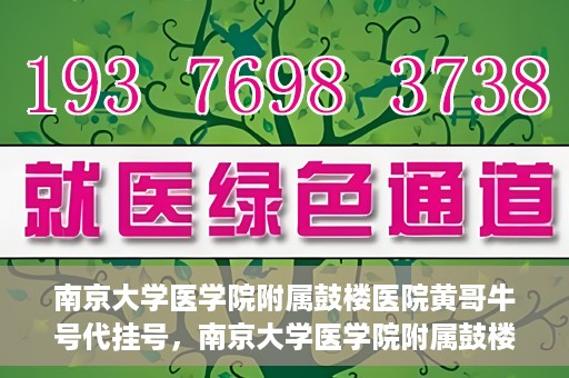 南京大学医学院附属鼓楼医院黄哥牛号代挂号，南京大学医学院附属鼓楼医院黄哥牛号代挂号解析，专业解读与预约攻略