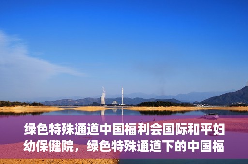 绿色特殊通道中国福利会国际和平妇幼保健院，绿色特殊通道下的中国福利会国际和平妇幼保健院，守护母婴健康的温馨港湾