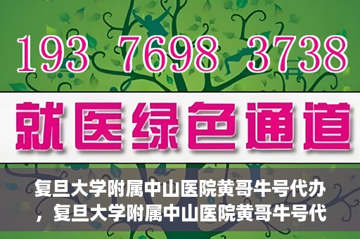 复旦大学附属中山医院黄哥牛号代办，复旦大学附属中山医院黄哥牛号代办，权威医疗资源的深度解读与便捷服务体验