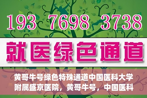 黄哥牛号绿色特殊通道中国医科大学附属盛京医院，黄哥牛号，中国医科大学附属盛京医院开启绿色特殊通道助力医疗进步