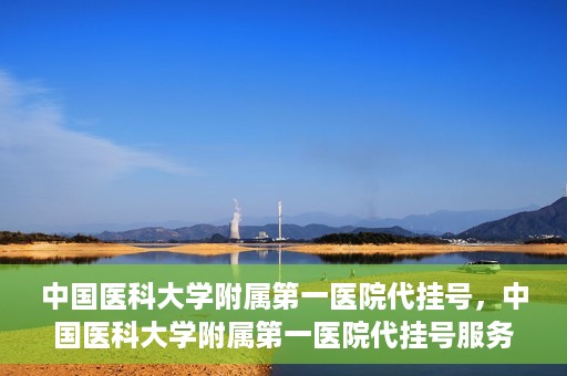 中国医科大学附属第一医院代挂号，中国医科大学附属第一医院代挂号服务详解
