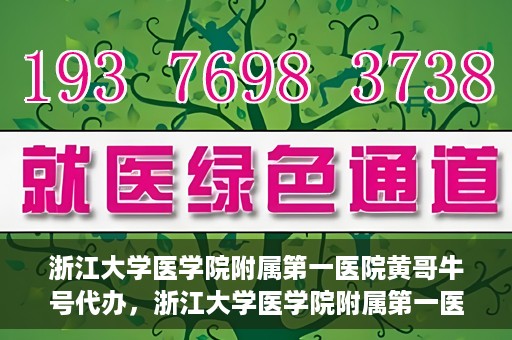浙江大学医学院附属第一医院黄哥牛号代办，浙江大学医学院附属第一医院黄哥牛号业务代办全攻略