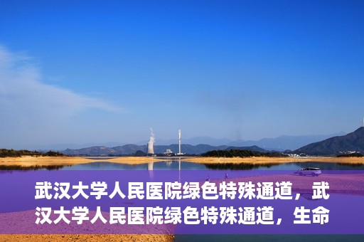 武汉大学人民医院绿色特殊通道，武汉大学人民医院绿色特殊通道，生命救援的紧急通道