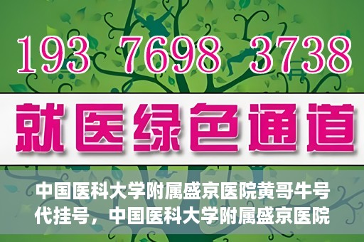 中国医科大学附属盛京医院黄哥牛号代挂号，中国医科大学附属盛京医院黄哥牛号代挂号背后的故事与真相揭秘