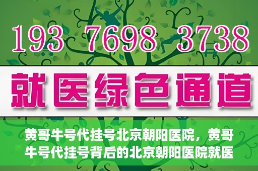 黄哥牛号代挂号北京朝阳医院，黄哥牛号代挂号背后的北京朝阳医院就医现象观察
