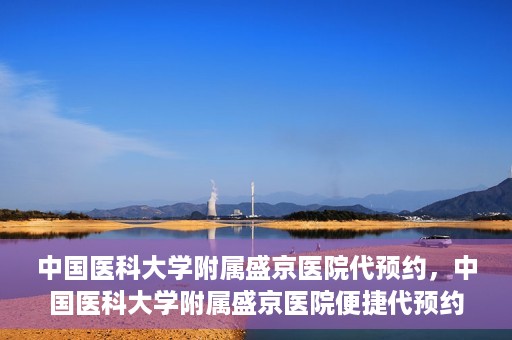 中国医科大学附属盛京医院代预约，中国医科大学附属盛京医院便捷代预约服务解析