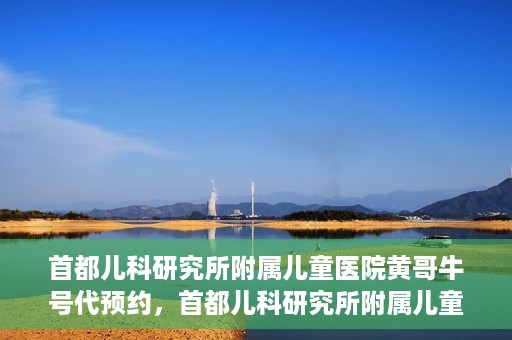 首都儿科研究所附属儿童医院黄哥牛号代预约，首都儿科研究所附属儿童医院黄哥预约服务详解