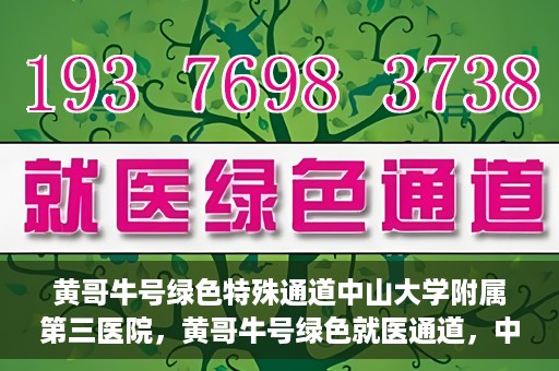 黄哥牛号绿色特殊通道中山大学附属第三医院，黄哥牛号绿色就医通道，中山大学附属第三医院特色服务解析