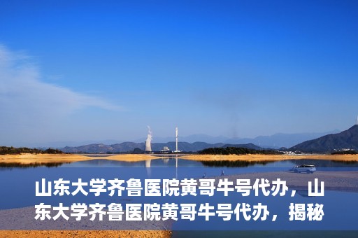 山东大学齐鲁医院黄哥牛号代办，山东大学齐鲁医院黄哥牛号代办，揭秘背后的故事与真相
