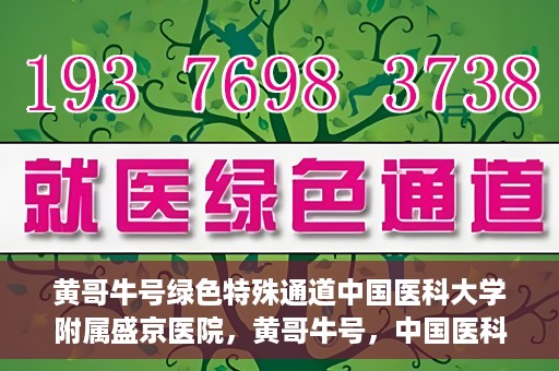 黄哥牛号绿色特殊通道中国医科大学附属盛京医院，黄哥牛号，中国医科大学附属盛京医院开启绿色特殊通道助力医疗进步