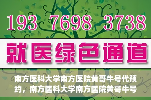 南方医科大学南方医院黄哥牛号代预约，南方医科大学南方医院黄哥牛号预约服务解析