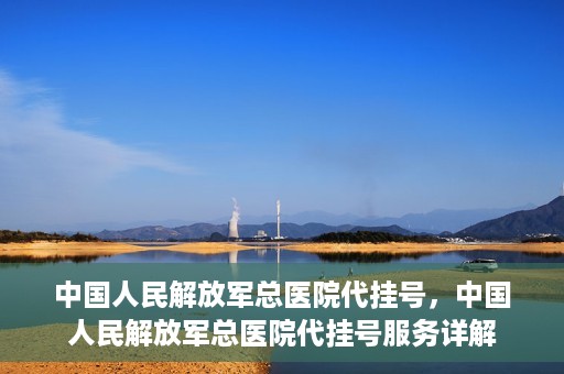 中国人民解放军总医院代挂号，中国人民解放军总医院代挂号服务详解