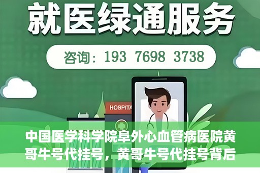中国医学科学院阜外心血管病医院黄哥牛号代挂号，黄哥牛号代挂号背后的故事，阜外心血管病医院的探索与挑战