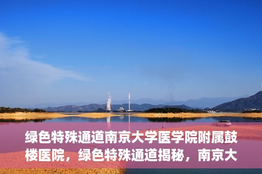 绿色特殊通道南京大学医学院附属鼓楼医院，绿色特殊通道揭秘，南京大学医学院附属鼓楼医院的探索与实践