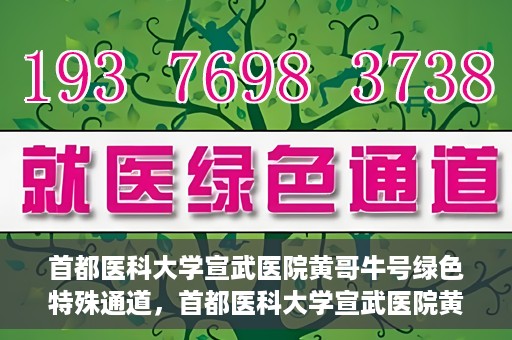 首都医科大学宣武医院黄哥牛号绿色特殊通道，首都医科大学宣武医院黄哥牛号，绿色特殊通道开启健康之门