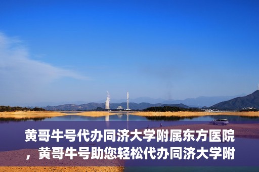 黄哥牛号代办同济大学附属东方医院，黄哥牛号助您轻松代办同济大学附属东方医院事务