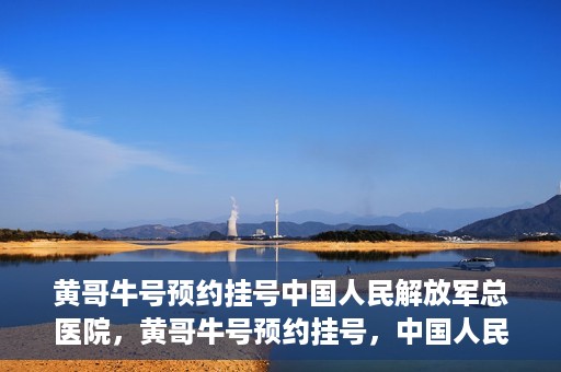 黄哥牛号预约挂号中国人民解放军总医院，黄哥牛号预约挂号，中国人民解放军总医院就医新体验