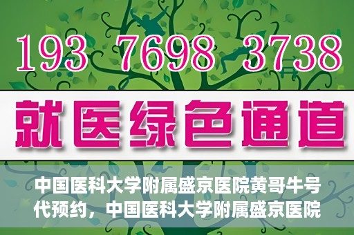 中国医科大学附属盛京医院黄哥牛号代预约，中国医科大学附属盛京医院黄哥牛号预约服务解析