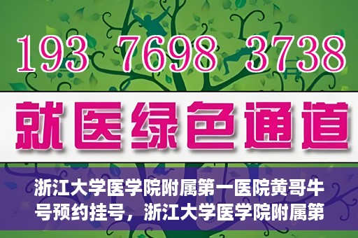 浙江大学医学院附属第一医院黄哥牛号预约挂号，浙江大学医学院附属第一医院黄哥牛号预约挂号攻略详解