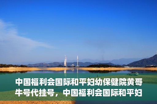 中国福利会国际和平妇幼保健院黄哥牛号代挂号，中国福利会国际和平妇幼保健院黄哥牛号挂号攻略