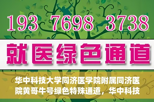 华中科技大学同济医学院附属同济医院黄哥牛号绿色特殊通道，华中科技大学同济医院黄哥牛号绿色特殊通道揭秘