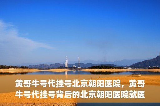 黄哥牛号代挂号北京朝阳医院，黄哥牛号代挂号背后的北京朝阳医院就医现象观察