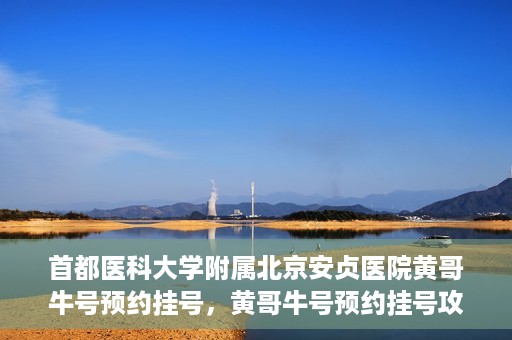 首都医科大学附属北京安贞医院黄哥牛号预约挂号，黄哥牛号预约挂号攻略，首都医科大学附属北京安贞医院就医指南