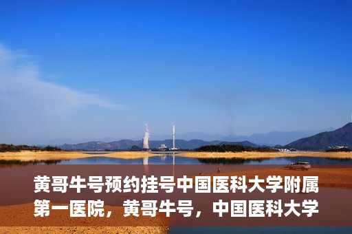 黄哥牛号预约挂号中国医科大学附属第一医院，黄哥牛号，中国医科大学附属第一医院预约挂号服务启动