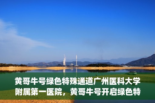 黄哥牛号绿色特殊通道广州医科大学附属第一医院，黄哥牛号开启绿色特殊通道，广州医科大学附属第一医院创新医疗体验
