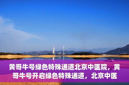 黄哥牛号绿色特殊通道北京中医院，黄哥牛号开启绿色特殊通道，北京中医院助力健康中国行
