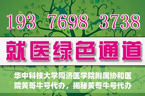 华中科技大学同济医学院附属协和医院黄哥牛号代办，揭秘黄哥牛号代办背后的故事，华中科技大学同济医学院附属协和医院就医新途径探索