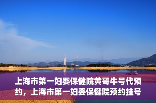 上海市第一妇婴保健院黄哥牛号代预约，上海市第一妇婴保健院预约挂号服务升级，黄哥牛号预约更便捷