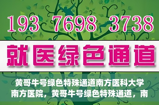 黄哥牛号绿色特殊通道南方医科大学南方医院，黄哥牛号绿色特殊通道，南方医科大学南方医院的探索与实践