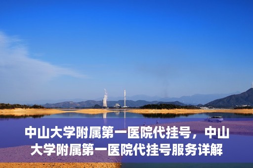 中山大学附属第一医院代挂号，中山大学附属第一医院代挂号服务详解