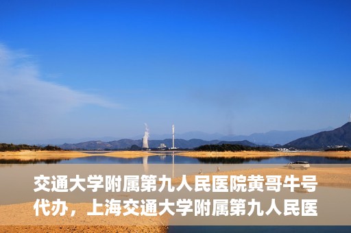 交通大学附属第九人民医院黄哥牛号代办，上海交通大学附属第九人民医院黄哥牛号代办服务解析
