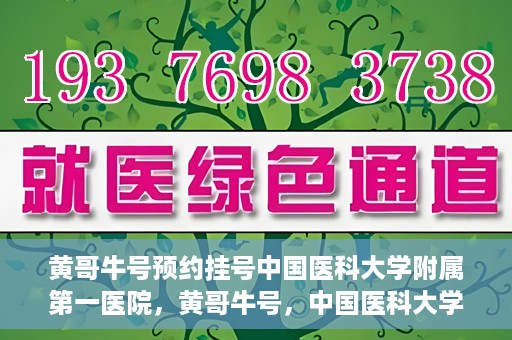 黄哥牛号预约挂号中国医科大学附属第一医院，黄哥牛号，中国医科大学附属第一医院预约挂号服务启动