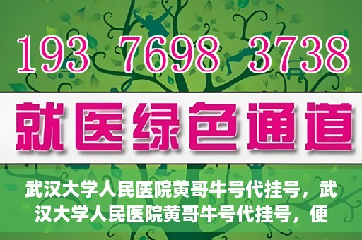 武汉大学人民医院黄哥牛号代挂号，武汉大学人民医院黄哥牛号代挂号，便捷就医背后的故事