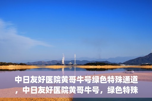中日友好医院黄哥牛号绿色特殊通道，中日友好医院黄哥牛号，绿色特殊通道开启健康之门