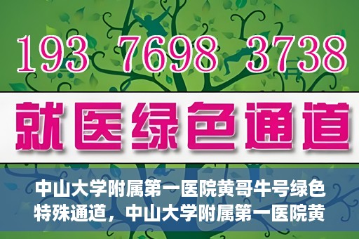中山大学附属第一医院黄哥牛号绿色特殊通道，中山大学附属第一医院黄哥牛号，绿色特殊通道开启健康之门