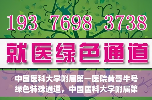 中国医科大学附属第一医院黄哥牛号绿色特殊通道，中国医科大学附属第一医院黄哥牛号，绿色特殊通道的开启与探索