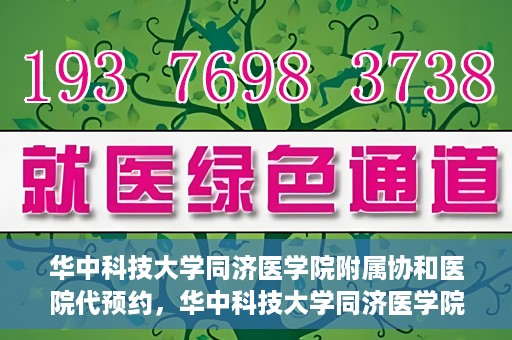 华中科技大学同济医学院附属协和医院代预约，华中科技大学同济医学院附属协和医院便捷代预约服务解析