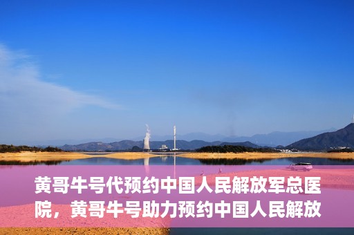 黄哥牛号代预约中国人民解放军总医院，黄哥牛号助力预约中国人民解放军总医院，一站式健康服务新体验