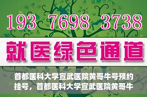 首都医科大学宣武医院黄哥牛号预约挂号，首都医科大学宣武医院黄哥牛号，预约挂号攻略