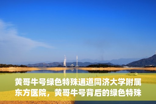 黄哥牛号绿色特殊通道同济大学附属东方医院，黄哥牛号背后的绿色特殊通道，同济大学附属东方医院的探索与实践