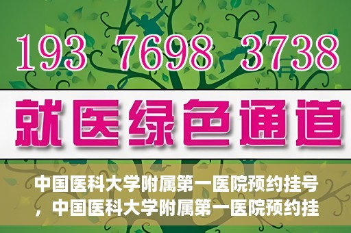中国医科大学附属第一医院预约挂号，中国医科大学附属第一医院预约挂号指南，一站式解决您的就医难题