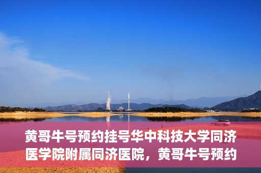黄哥牛号预约挂号华中科技大学同济医学院附属同济医院，黄哥牛号预约挂号服务，华中科技大学同济医学院附属同济医院便捷就医新体验
